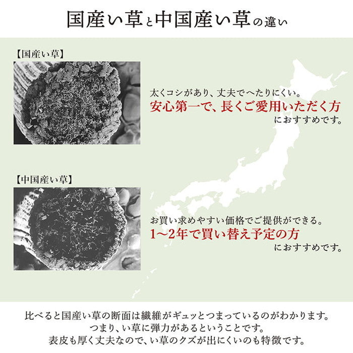 敷物 花ござ 国産 純国産 日本製 い草 掛川織 モダン 抗菌防臭 自然素材 江戸間8畳 約348×352cm 海 草原 ihk-1080330040702