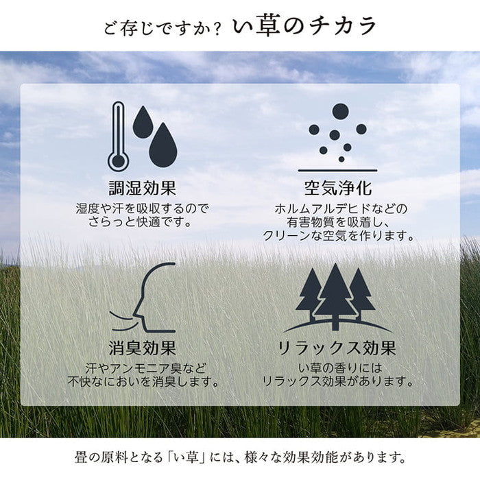 敷物 花ござ 国産 純国産 日本製 い草 掛川織 モダン 抗菌防臭 自然素材 江戸間8畳 約348×352cm 海 草原 ihk-1080330040702