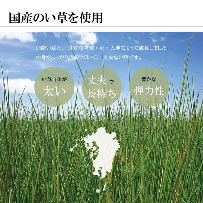 敷物 国産 日本製 純国産 い草 掛川織 花ござ 抗菌防臭 自然素材 モダン 約191×191cm ブラック ihk-1080360033203