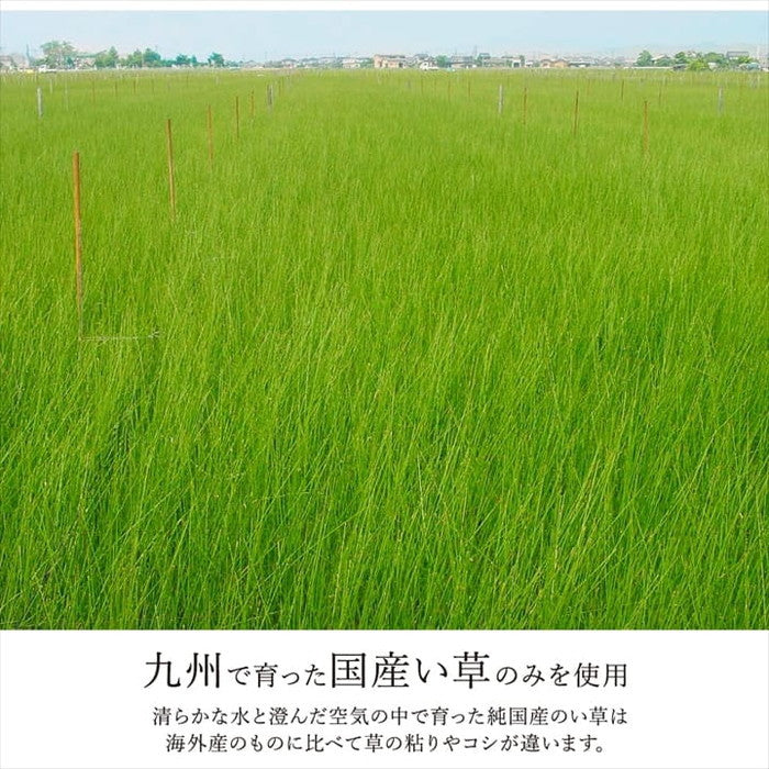 カーペット ござ 日本製 国産 敷詰 ラグ 敷物 ナチュラルスタイル い草 消臭 抗菌防臭 滑り止め 防炎 市松 江戸間6畳 約261×352cm ブラック ブラウン ihk-1080390030602の画像