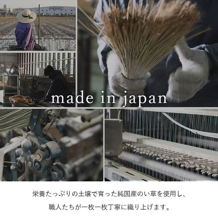 国産 い草ラグ カーペット ブロック調 おしゃれ おすすめ シンプル クッション性 江戸間1畳 約87×174cm ブラウン グリーン グレー ihk-1080460060102の画像