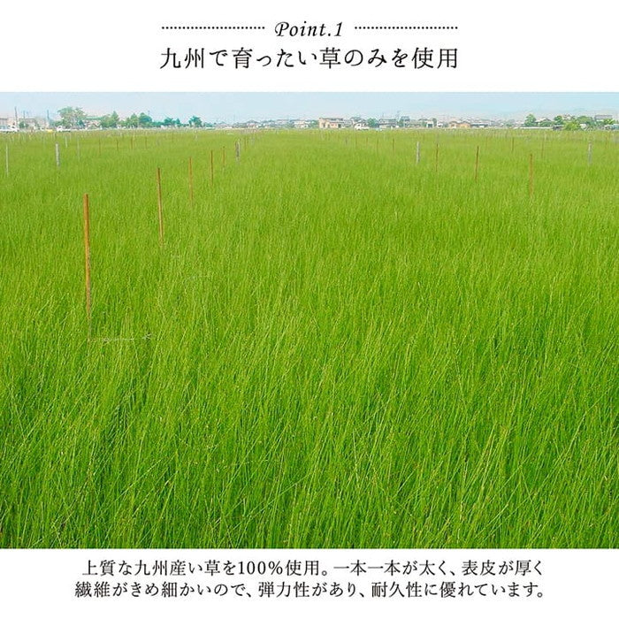 キッチンマット い草 自然素材 国産 純国産 日本製 汚れにくい シミになりにくい ウレタン カジュアル フルーツ 約60×120cm キウイ レモン ihk-1080940125405の画像