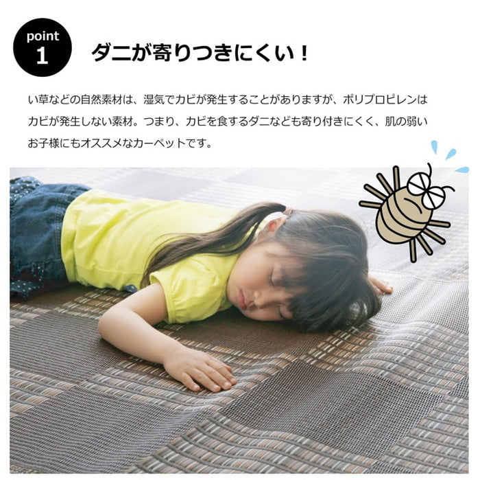 ラグ 洗える PPカーペット ウィード 約174×220cm ブラック ブラウン ネイビー ihk-1090280033704の画像