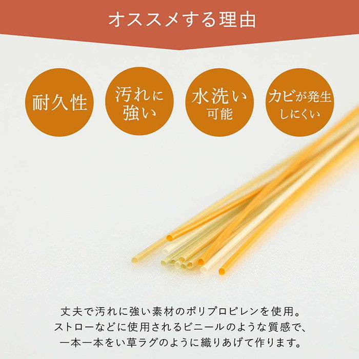 洗える ござ 日本製 国産 カーペット 丈夫 除菌スプレー対応 敷詰 ラグ 敷物 アウトドア レジャー ペット 江戸間3畳 約174×261cm ベージュ グリーン ihk-1090580021002の画像