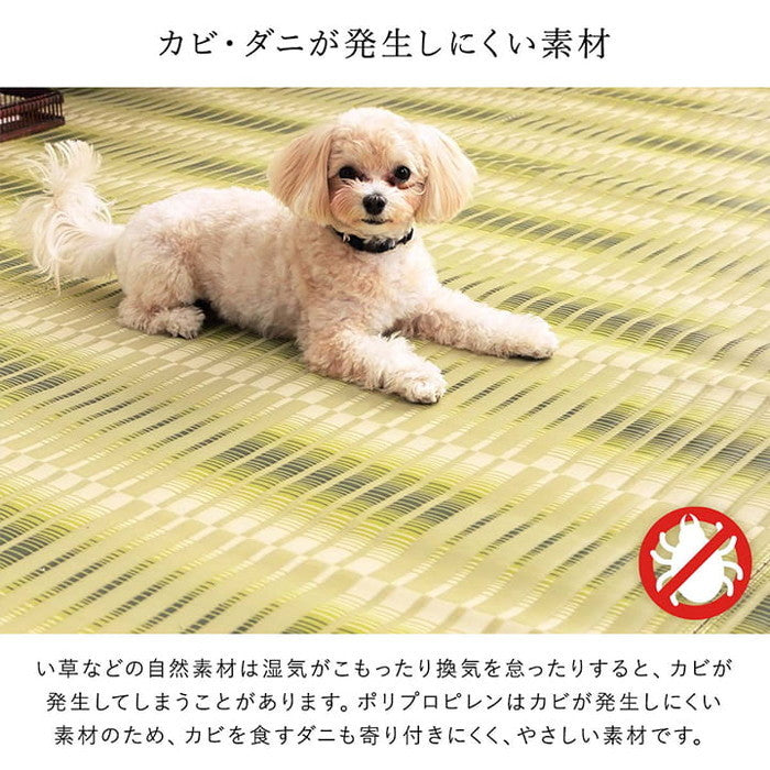 洗える ござ 日本製 国産 カーペット 丈夫 除菌スプレー対応 敷詰 ラグ 敷物 アウトドア レジャー ペット 江戸間3畳 約174×261cm ベージュ グリーン ihk-1090580021002の画像