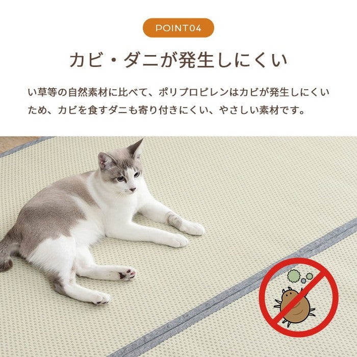 洗える ござ 日本製 国産 カーペット リバーシブル 丈夫 除菌スプレー対応 敷詰 ラグ 敷物 ペット 江戸間2畳 約174×174cm ブラウン グリーン グレー ihk-1090740020902の画像