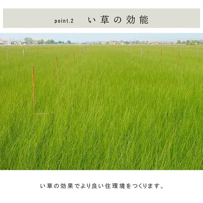 国産 い草 日本製 置き畳 ユニット畳 簡単 和室 4層 約70×70×3cm 6P ihk-1111500010453