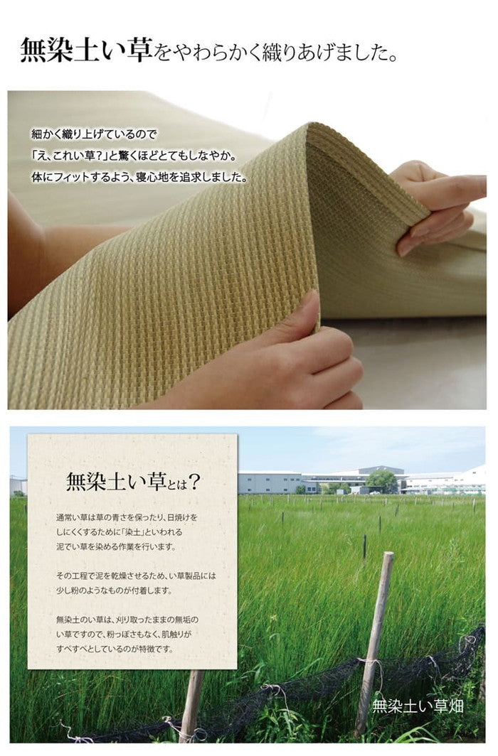 医師との共同開発 い草寝具 アスク 汗取P セミダブル 約120×200cm ihk-1120220010926の画像