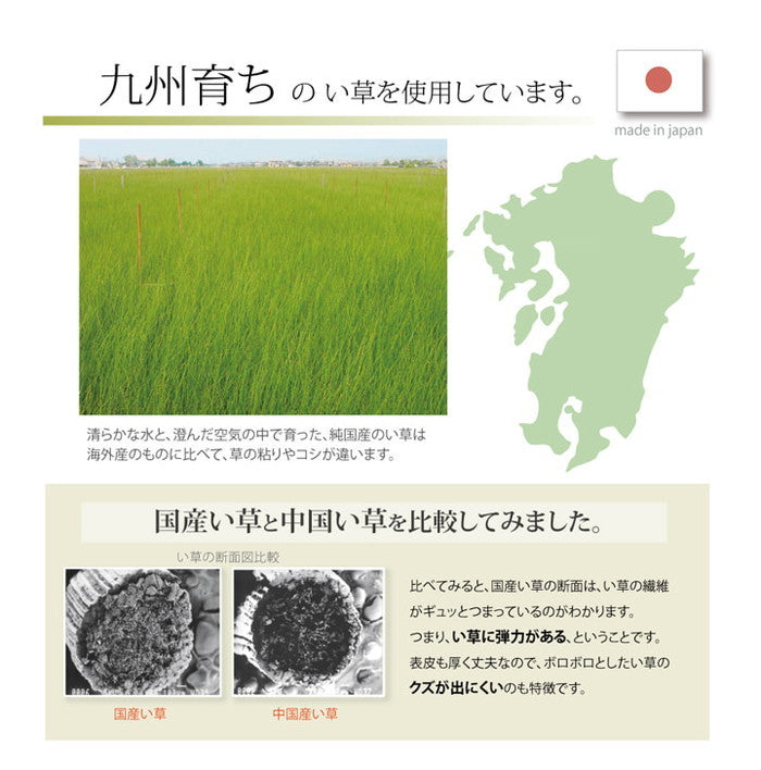 医師との共同開発 い草寝具 アスク ベビーマット 約70×120cm 中:固わた15mm ihk-1120220016901