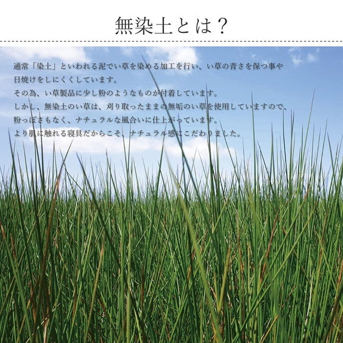 国産 い草 敷きパッド さらさら 涼しい 消臭 四隅バンド付き ダブル 約140×200cm ihk-1121560011201の画像