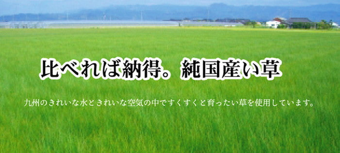 低反発ウレタンチップ入り い草枕 水金魚 低反発枕 箱付 約50×30cm ブルー イエロー ihk-1122000046343