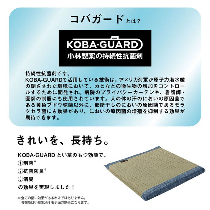 クッション へたりにくい クッション性 い草 抗菌防臭 消臭 シンプル 小林製薬コバガード使用 約43×43cm ブルー ブラウン グリーン オレンジ ihk-1130120040802の画像