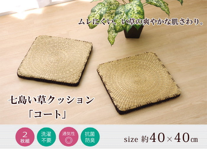 クッション 七島クッション 七島藺草 シート コート マチ付 約40×40cm 2枚組 ブラウン ihk-1140530060204の画像