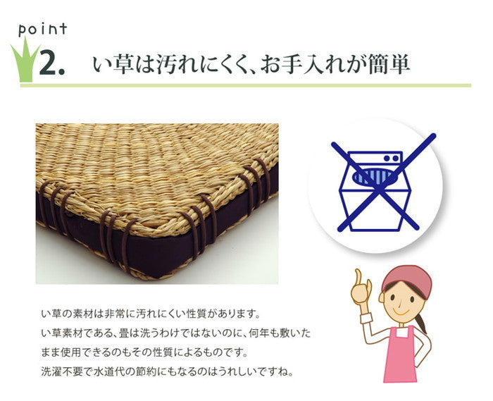 クッション 七島クッション 七島藺草 シート コート マチ付 約40×40cm 2枚組 ブラウン ihk-1140530060204の画像