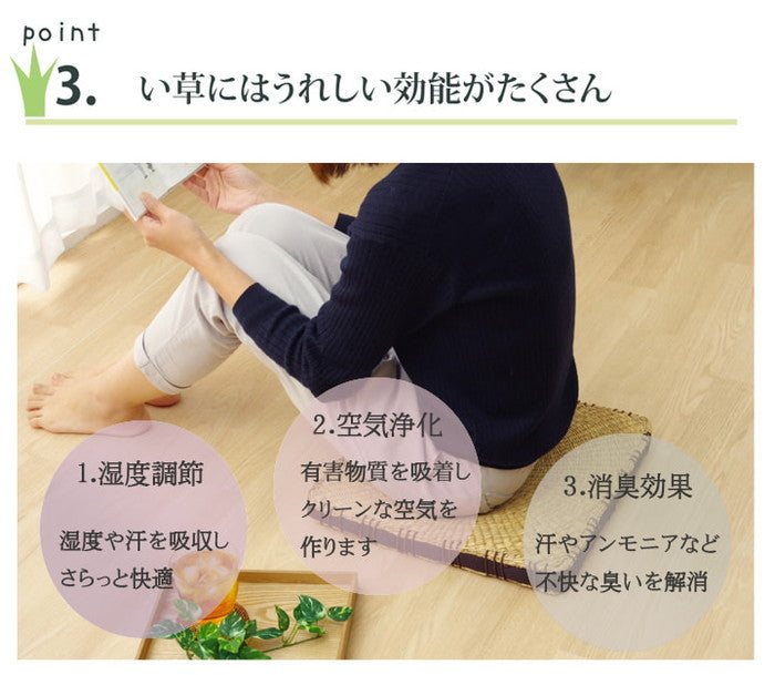 クッション 七島クッション 七島藺草 シート コート マチ付 約40×40cm 2枚組 ブラウン ihk-1140530060204の画像