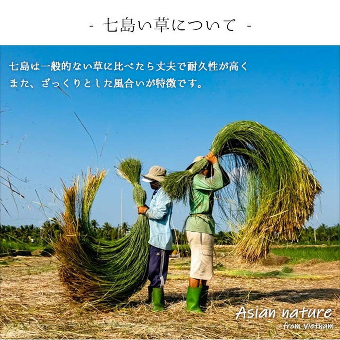 草履 紳士用 男性用 メンズ 箱付七島い草 ベトナム製 ギフト シンプル L 適応サイズ24.5〜26cm ブルー グリーン オレンジ ihk-1141510041002