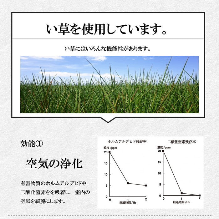 い草 くつろぐ ごろりん ごろ寝 さらさら 消臭 約48×90cm ihk-1141640040902の画像