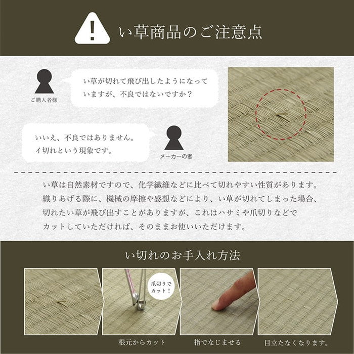 い草 くつろぐ ごろりん ごろ寝 さらさら 消臭 約48×90cm ihk-1141640040902の画像