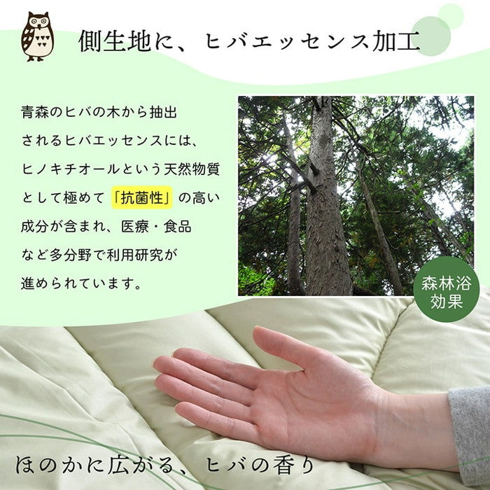 掛け布団 シングルロング 寝具 無地 ヒバエッセンス使用 i森の眠り 約150×210cm グリーン リーフ ihk-1202770123502の画像