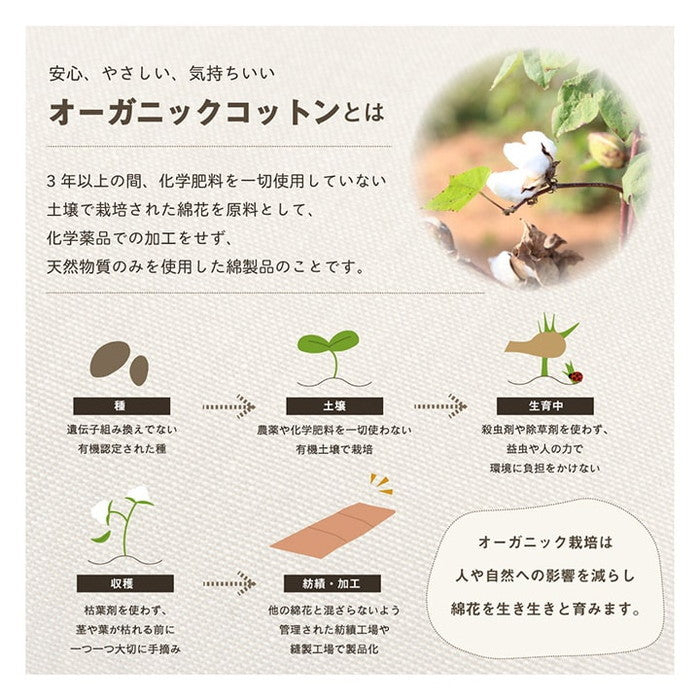 クッション フリーシート ソファ 車 日本製 オーガニックコットン 綿100% 無地 洗える 約43×130cm ベージュ ブルー グリーン ピンク イエロー ihk-1210250020501の画像
