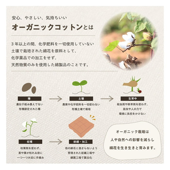 クッション 四角 厚い 持ち運び 日本製 オーガニックコットン 綿100% 無地 洗える 座布団 約40×40cm ベージュ ブルー グリーン ピンク イエロー ihk-1210250021801の画像