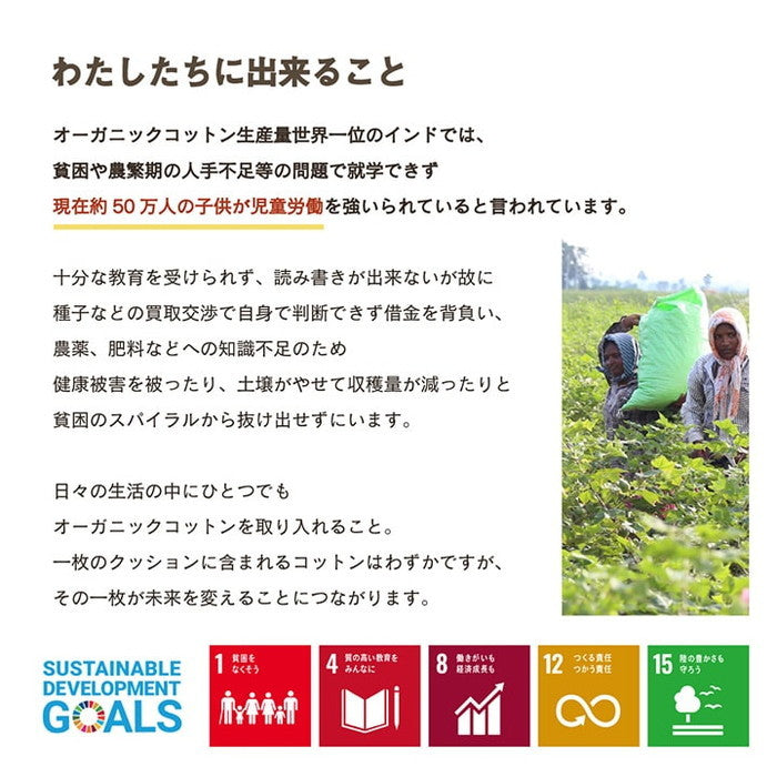 クッション 四角 厚い 持ち運び 日本製 オーガニックコットン 綿100% 無地 洗える 座布団 約40×40cm ベージュ ブルー グリーン ピンク イエロー ihk-1210250021801の画像