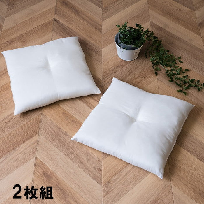 ヌードクッション 国産 日本製 洗える シート 椅子用 約45×45cm 2枚組 アイボリー ihk-1210660140203の画像