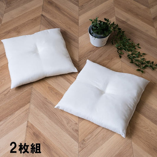 ヌードクッション 国産 日本製 洗える シート 椅子用 約45×45cm 2枚組 アイボリー ihk-1210660140203の画像