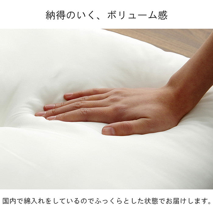 ヌードクッション 国産 日本製 洗える シート 椅子用 約45×45cm 2枚組 アイボリー ihk-1210660140203の画像