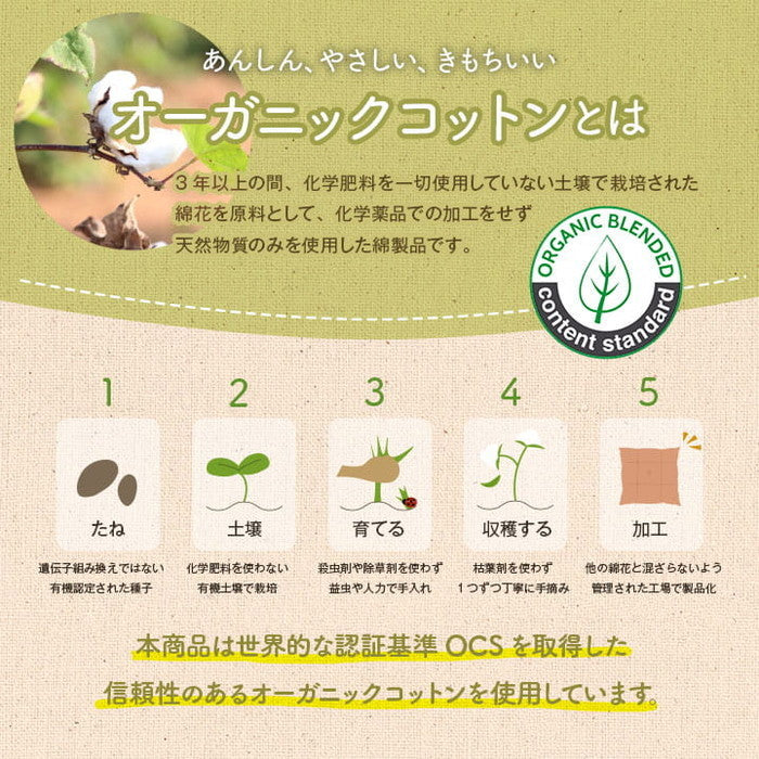 クッション 円形 円座 穴あき 日本製 オーガニックコットン 綿100% ボーダー 洗える 約35cm丸 ベージュ ネイビー ihk-1210880020401の画像