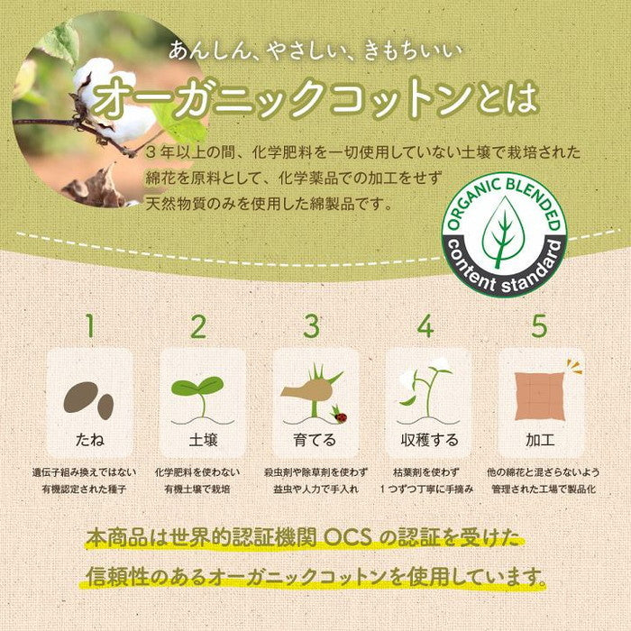 クッション シート 椅子 日本製 オーガニックコットン 綿100% ボーダー 洗える 約43×43cm グレー ネイビー ihk-1210980130201の画像