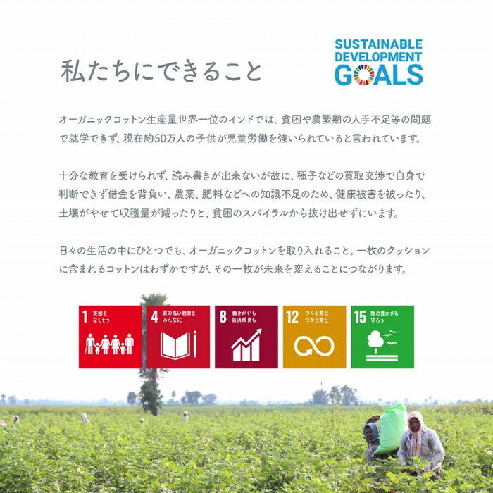 クッション シート 椅子 日本製 オーガニックコットン 綿100% ボーダー 洗える 約43×43cm グレー ネイビー ihk-1210980130201の画像