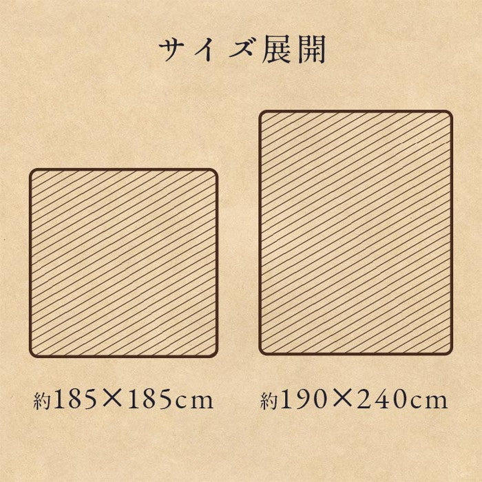 ラグ 洗える 正方形 こたつ敷 チェック 額縁調 約2畳 約185×185cm 床暖房 ホットカーペット対応 ブラウン ネイビー ihk-1270370062401