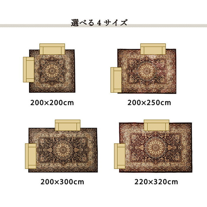 ラグ 正方形 オールシーズン 洗える 軽い コンパクト メダリオン柄 約200×200cm ホットカーペット対応 ブラウン ワイン ihk-1270490062601