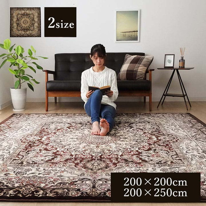 ラグ 長方形 オールシーズン 洗える 軽い コンパクト メダリオン柄 約200×250cm ホットカーペット対応 ブラウン ワイン ihk-1270490063201の画像