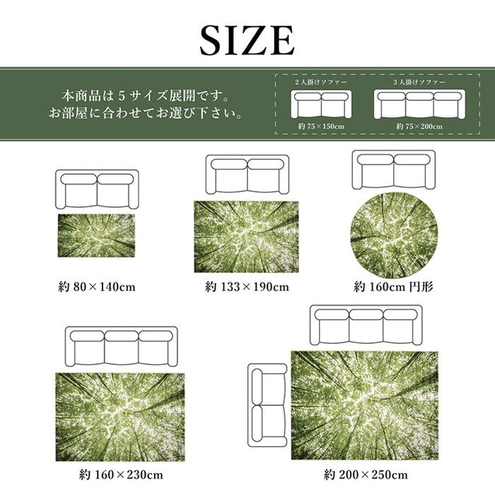 ウィルトンカーペット ウィルトン織り 約133×190cm 抗菌防臭 トルコ製 ihk-1320480010201