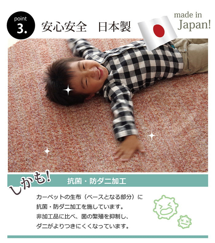 ラグ カーペット 3畳 抗菌 防臭 防ダニ タフト 国産 ミックスカラー イリゼ 約190×240cm ベージュ ブルー グリーン ワイン ihk-1340630022003の画像