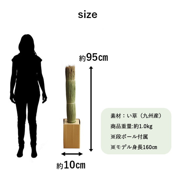 国産 日本製 い草 インテリア オブジェ 消臭 空気清浄 ナチュラル 植物 置物 95×10cm ihk-1370100011206