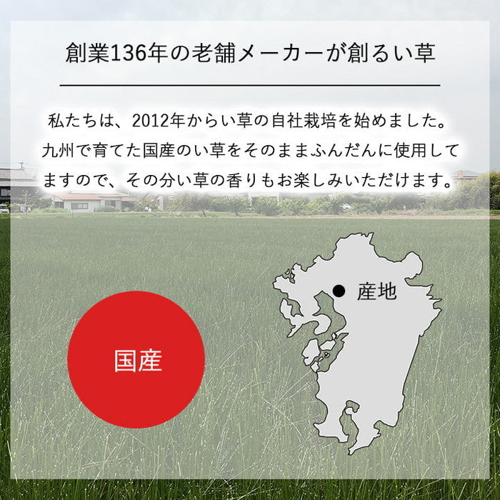 国産 日本製 い草 インテリア オブジェ 消臭 空気清浄 ナチュラル 植物 置物 95×10cm ihk-1370100011206