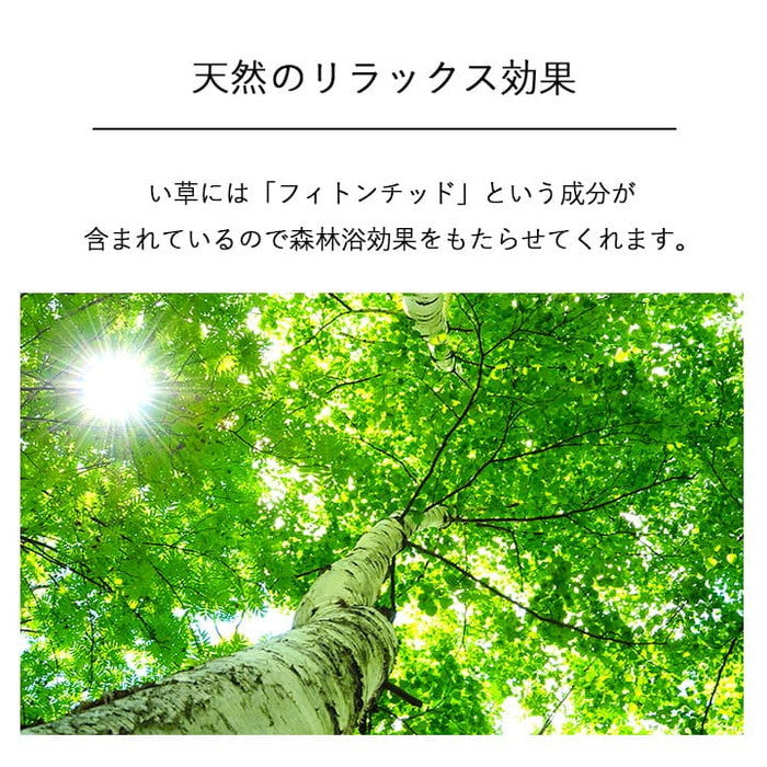 国産 日本製 い草 インテリア オブジェ 消臭 空気清浄 ナチュラル 植物 置物 95×10cm ihk-1370100011206