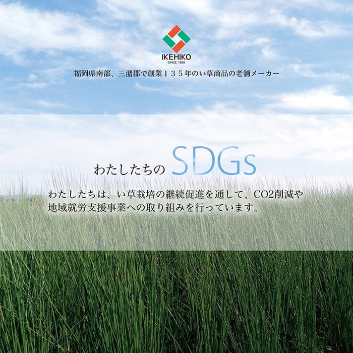 い草 リース 雑貨 飾り 消臭効果 リッラクス効果 アレンジ 約20cm丸 ihk-1370350015108の画像