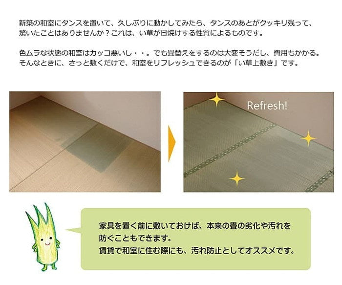 純国産 い草 上敷き カーペット 市松織 不知火 江戸間2畳 約176×176cm 熊本県八代産イ草使用 ihk-1400010012202