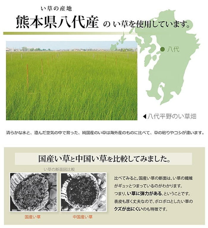 純国産 い草 上敷き カーペット 市松織 不知火 江戸間8畳 約352×352cm 熊本県八代産イ草使用 ihk-1400010012802