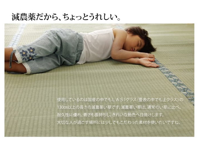 純国産 減農薬栽培 い草 上敷き カーペット 糸引織 西陣 団地間3畳 約170×255cm 熊本県八代産イ草使用 ihk-1400050011302の画像
