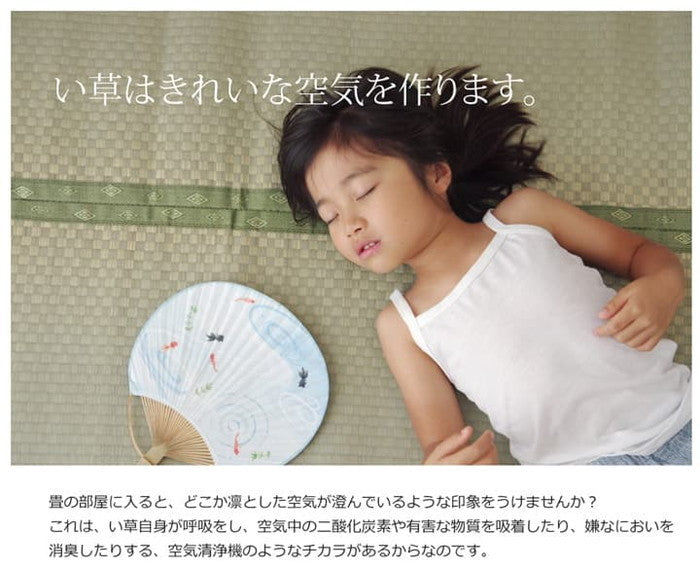 フリーカット い草 上敷き カーペット F不知火 団地間3畳 約170×255cm 裏:ウレタン張り ihk-1400121011302の画像