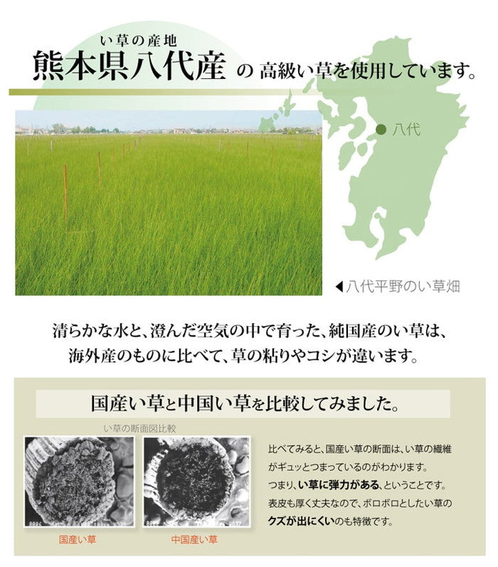 純国産 い草 上敷き カーペット 麻綿織 清正 江戸間3畳 約176×261cm 熊本県八代産イ草使用 ihk-1400200012302