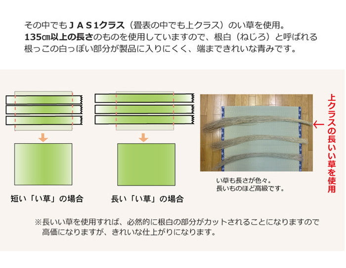 純国産 い草 上敷き カーペット 麻綿織 清正 江戸間3畳 約176×261cm 熊本県八代産イ草使用 ihk-1400200012302