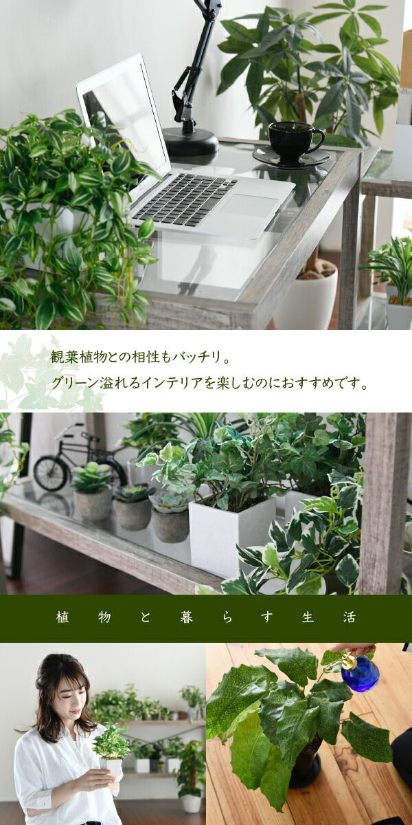 グリーンインテリア デスク 幅90 ガラス 古材 古木 インテリア 奥行45 グリーン 観葉植物 シャビー 植物 棚 ラック おしゃれ 木製 机 pc リビング jk-faw-0003の画像