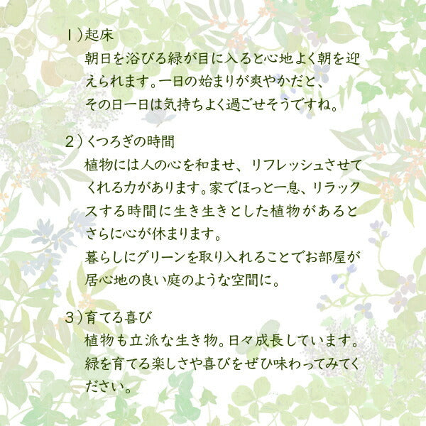 グリーンインテリア デスク 幅90 ガラス 古材 古木 インテリア 奥行45 グリーン 観葉植物 シャビー 植物 棚 ラック おしゃれ 木製 机 pc リビング jk-faw-0003の画像