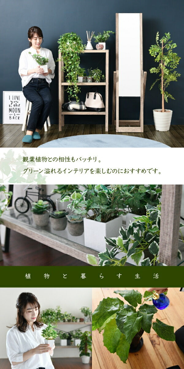 グリーンインテリア スタンドミラー 姿見 ガラス インテリア グリーン 観葉植物 シャビー 多肉植物 棚 ラック おしゃれ シンプル 一人暮らし 木製 古材 jk-faw-0008の画像